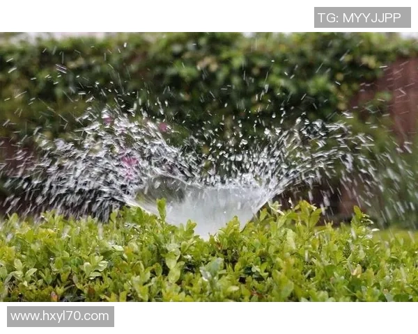 从零起步掌握网球技巧与策略全方位指南 从零起步掌握网球技巧与策略全方位指南
